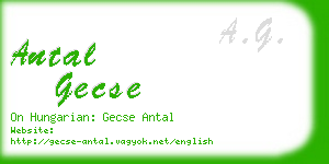 antal gecse business card